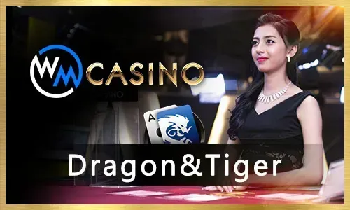 Sic Bo dice game with betting options